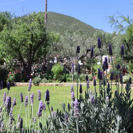 Dom wakacyjny Serenity *